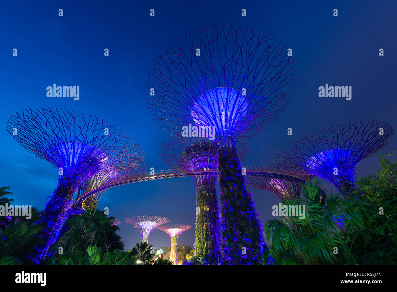 Jardin Supertree de nuit, jardin par la baie, Singapour Banque D'Images