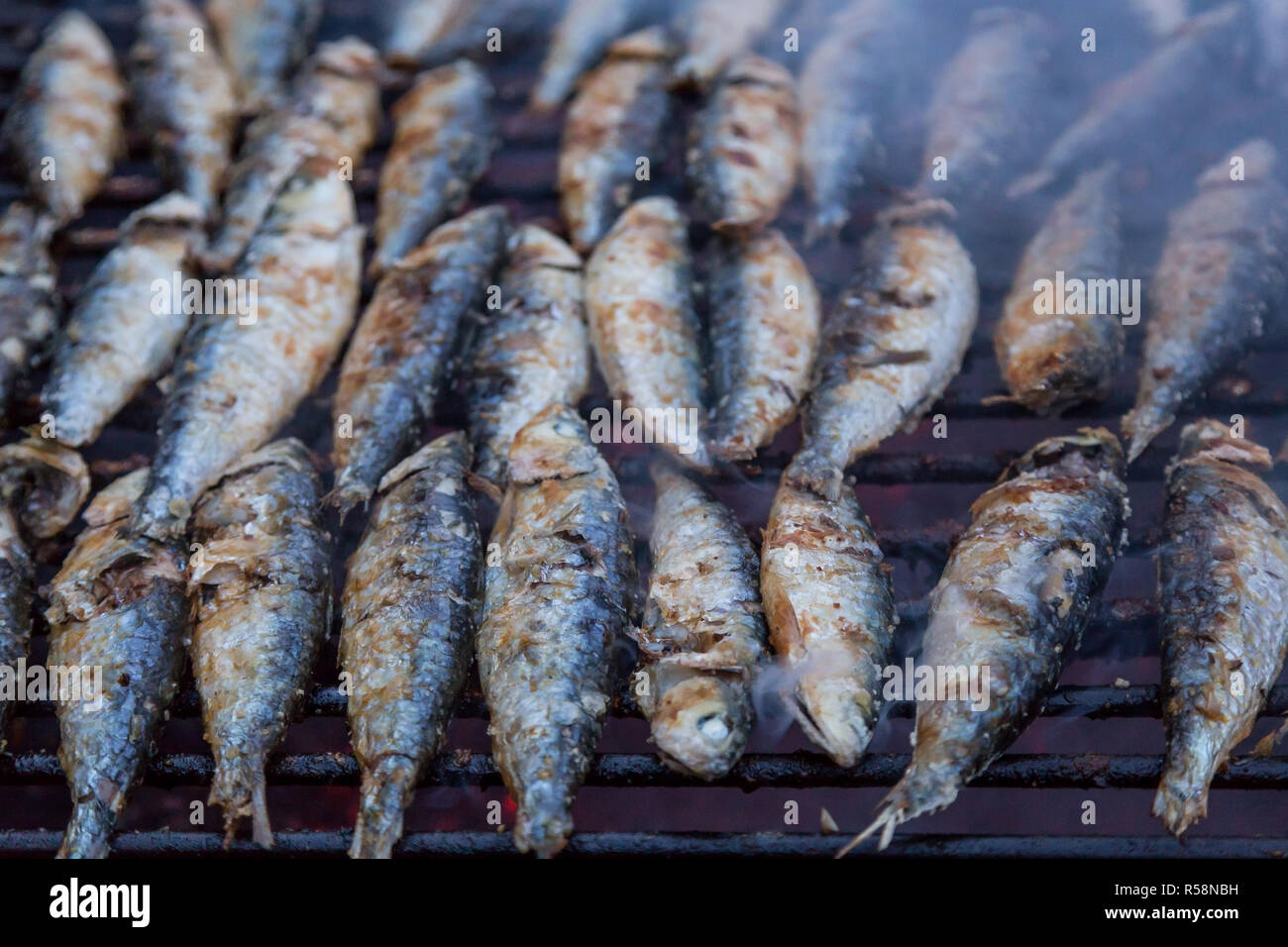 Sardines sur le grill barbecue de rue typique d'aliments chauds au Portugal. Banque D'Images