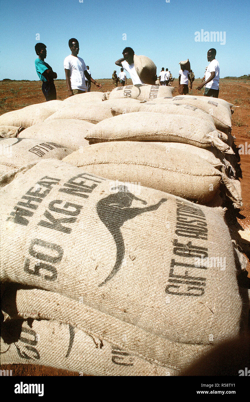 1993 - Les hommes du village d'Maleel pile Somalie des sacs de blé livré par l'Escadron d'hélicoptères lourds Marine 363 (HMH-363) au cours de l'effort de secours multinationales l'Opération Restore Hope. Banque D'Images