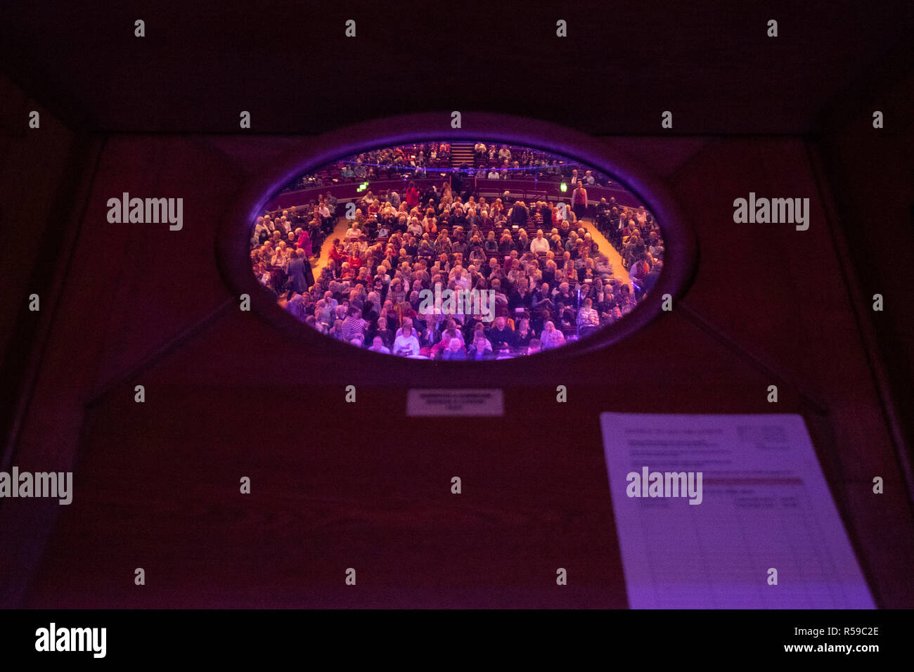 Londres, Royaume-Uni. 29 Nov 2018. Dans l'auditoire de l'Armée du Salut miroir orgue Concert de Noël à la Royal Albert Hall, le Crédit : Mark O'Brien/Alamy Live News. Banque D'Images