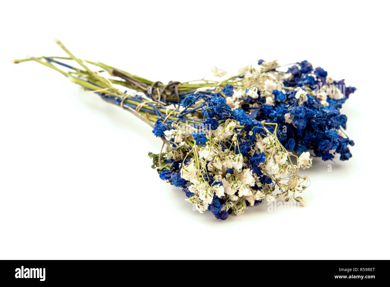 Les fleurs blanc et bleu sur fond blanc Banque D'Images