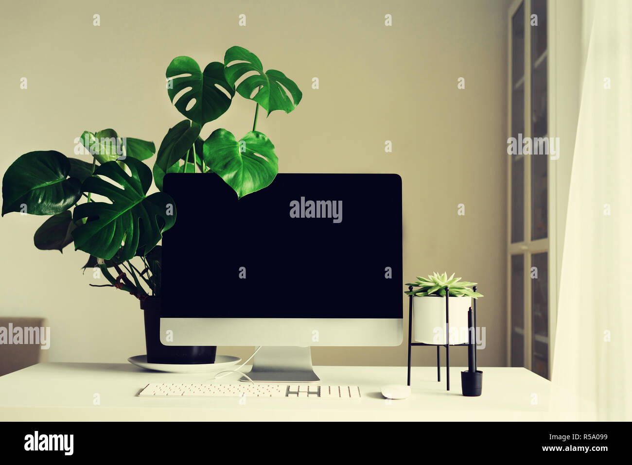 Designer espace de travail. Accueil minimaliste office. Écran noir ordinateur de bureau. Ordinateur de bureau, lampe, tablette graphique, clavier, souris, stylo, succulentes Banque D'Images