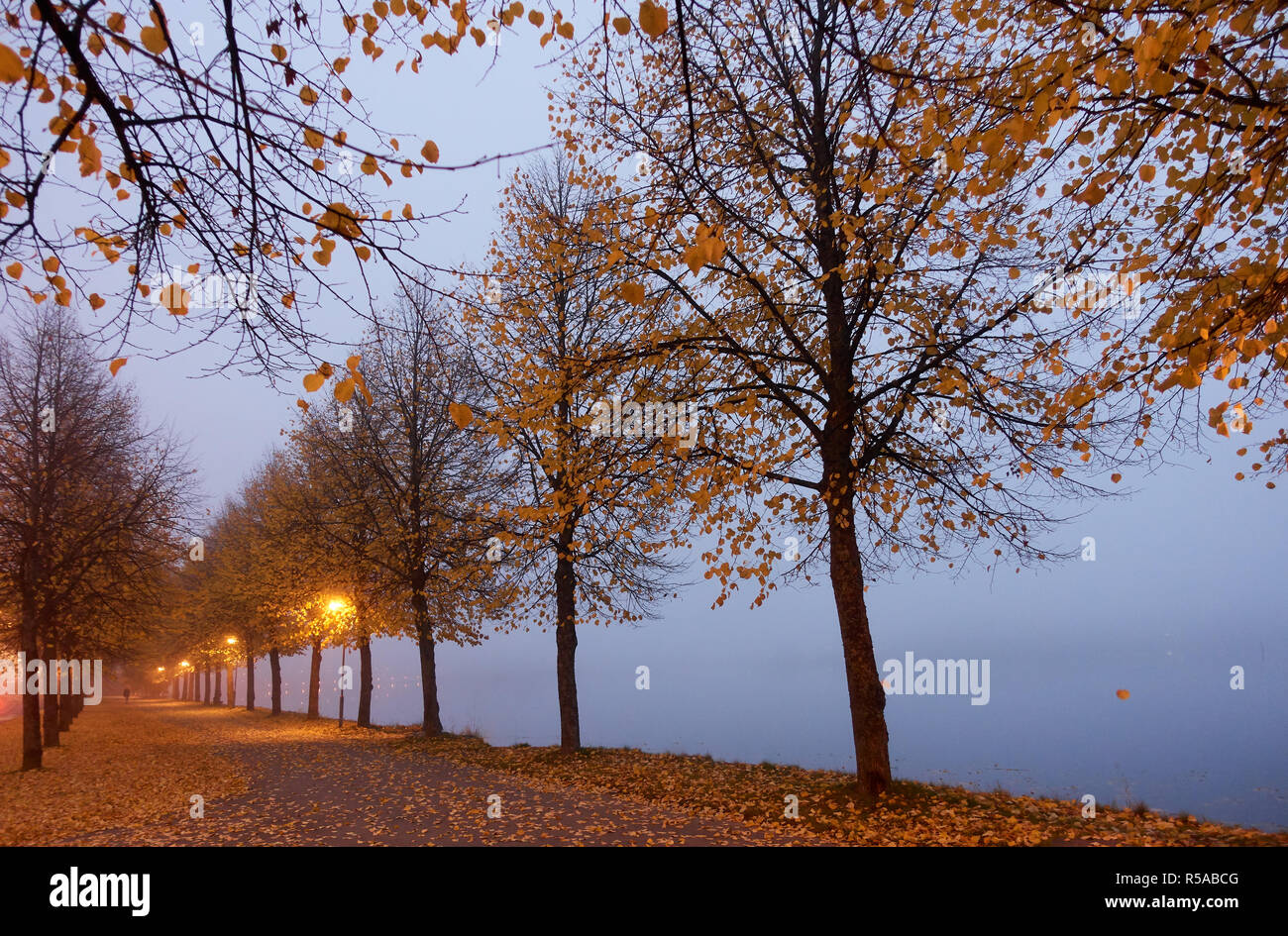 Couleurs d'automne et feuilles rouges par Misty Lake à Hameenlinna, en Finlande. Banque D'Images Couleurs d'automne et feuilles rouges par Misty Lake à Hameenlinna, en Finlande. Banque D'Images