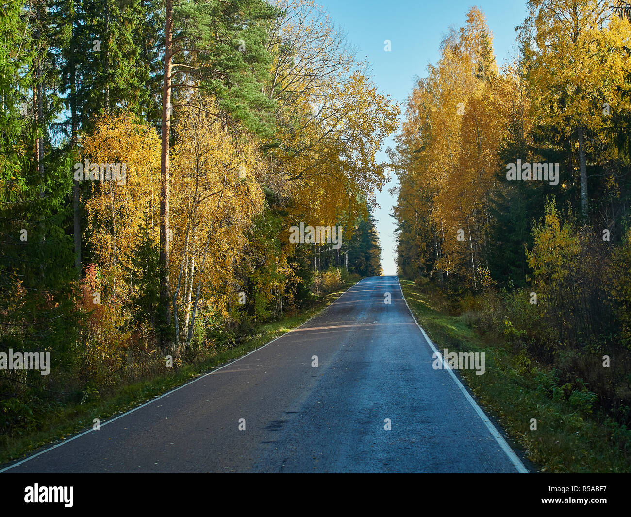 Belles couleurs d'automne et pittoresque route de campagne d'automne en Finlande. Banque D'Images