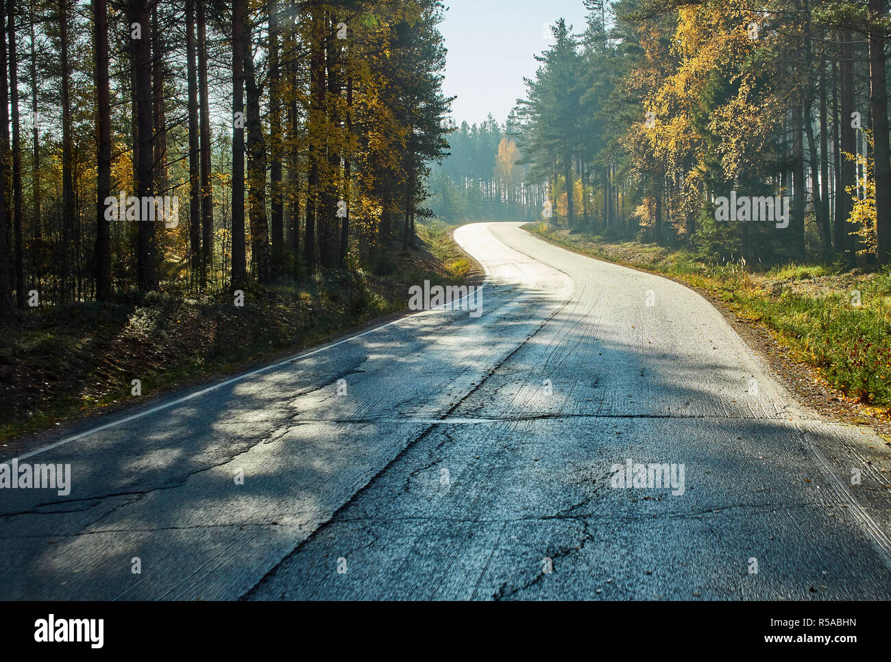 Les couleurs de l'automne brillant par l'automne route en Finlande. Banque D'Images