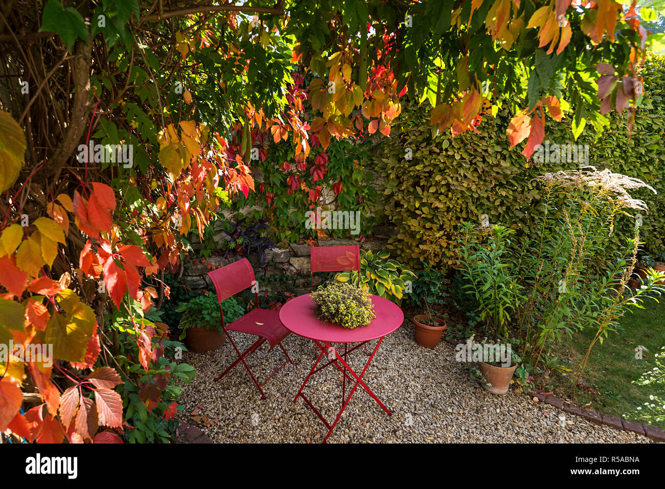 Tonnelle de jardin avec table et chaises de jardin d'automne avec les feuilles de vigne, Bavière, Allemagne Banque D'Images