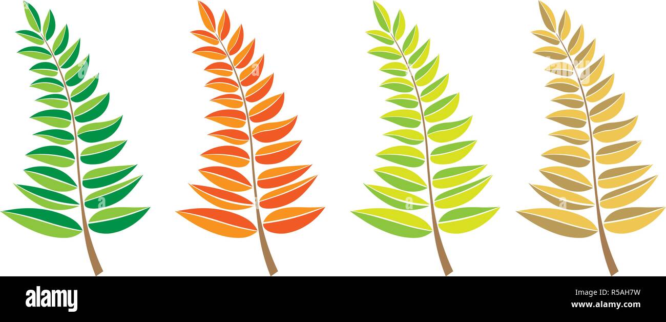 Ensemble de branches. vecteur à la main des branches d'arbre avec des feuilles isolées sur fond blanc. élément design décoration feuilles icône logo. Illustration de Vecteur
