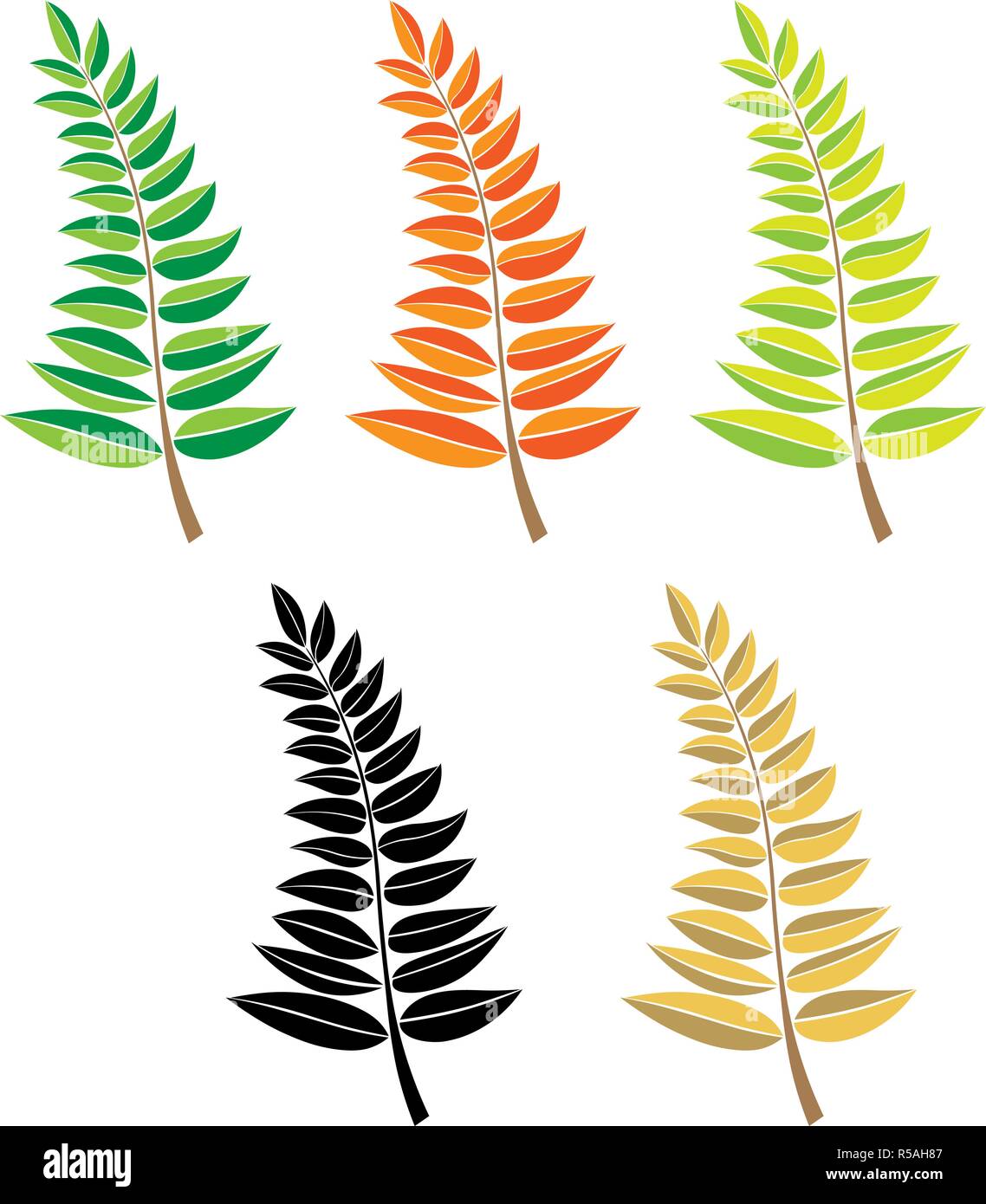 Ensemble de branches. vecteur à la main des branches d'arbre avec des feuilles isolées sur fond blanc. élément design décoration feuilles icône logo. Illustration de Vecteur