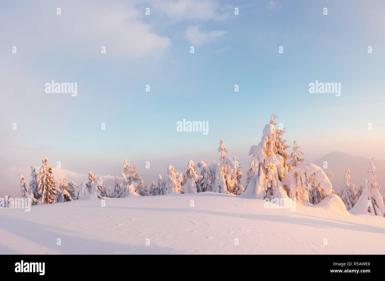 Orange fantastique paysage d'hiver dans les montagnes de neige par la lumière du soleil rougeoyant. Scène hivernale spectaculaire avec des arbres enneigés. Concept de vacances de Noël Banque D'Images