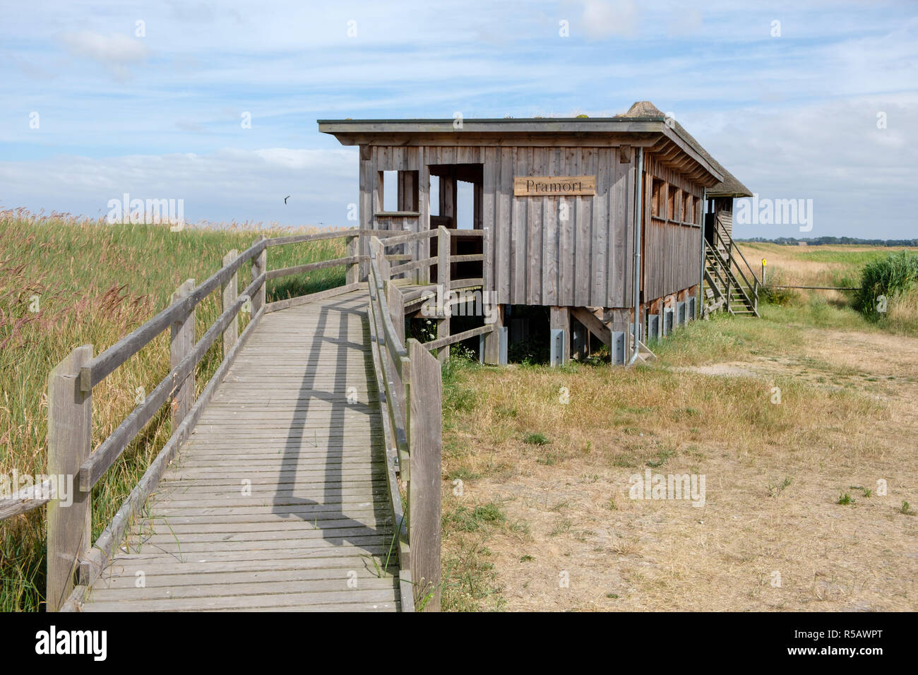 La plate-forme d'observation en Pramort, Poméranie occidentale Lagoon Salon National Park, Fischland-darss-Zingst, Mecklenburg-Vorpommern, Allemagne Banque D'Images