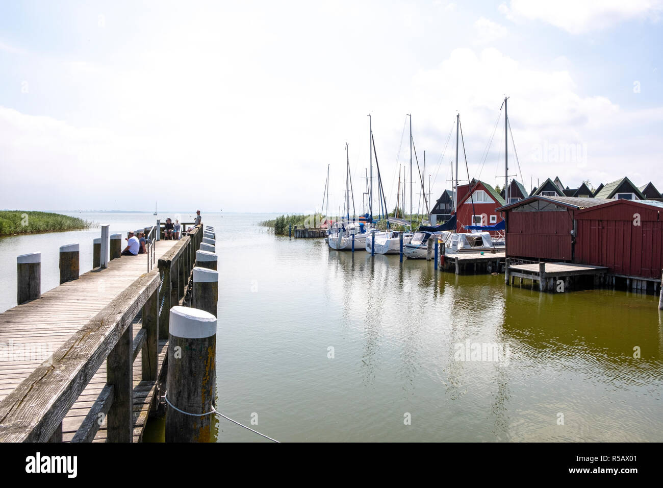 Voiliers dans le port, près de Ahrenshoop Althagen Fischland Darss, Zingst, Mecklembourg-Poméranie-Occidentale, Allemagne Banque D'Images