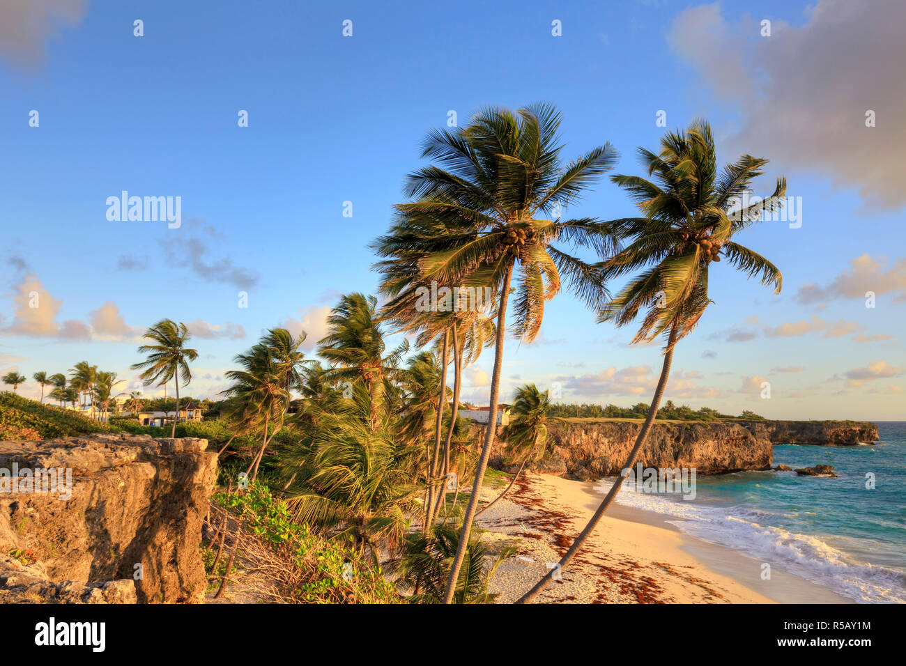 Caraïbes, Barbade, Bas Bay Beach Banque D'Images