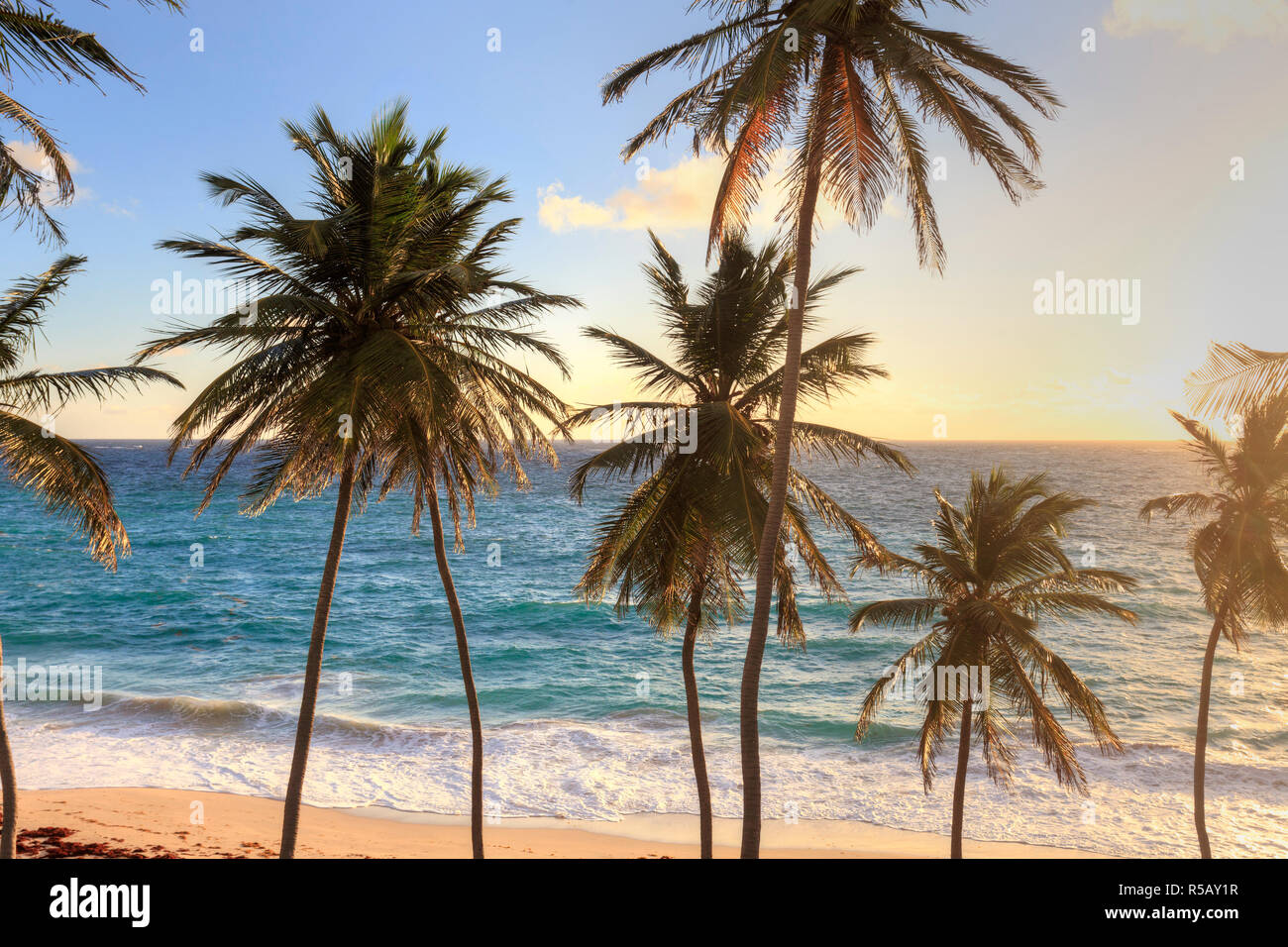 Caraïbes, Barbade, Bas Bay Beach Banque D'Images
