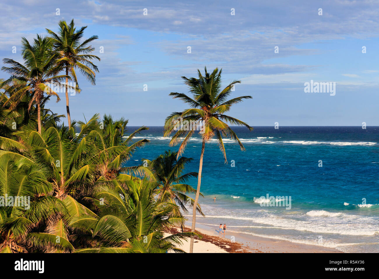 Caraïbes, Barbade, Crane Beach Banque D'Images