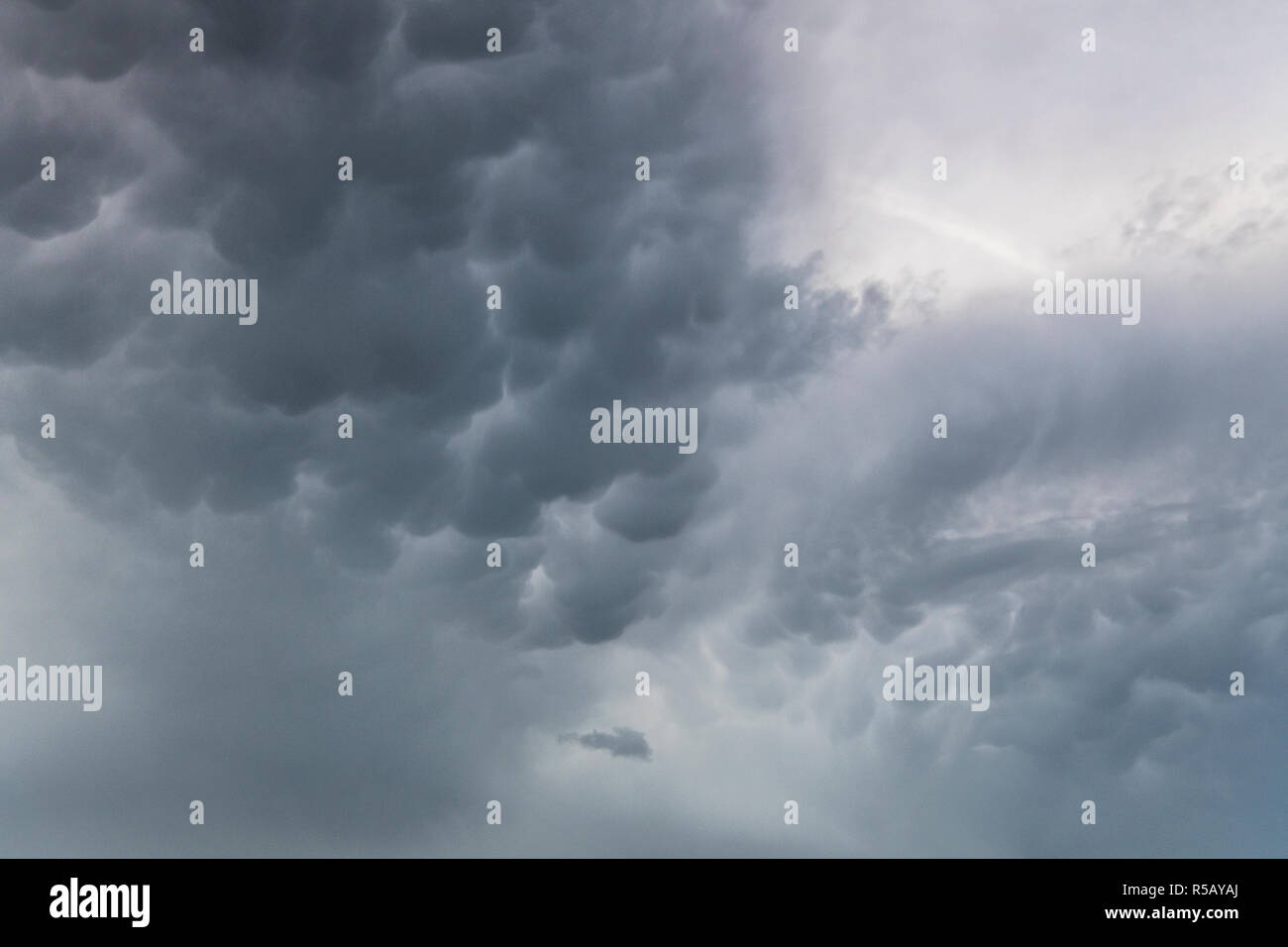 Mammatus nuages sur un champ de colza, orages, Thuringe, Allemagne Banque D'Images