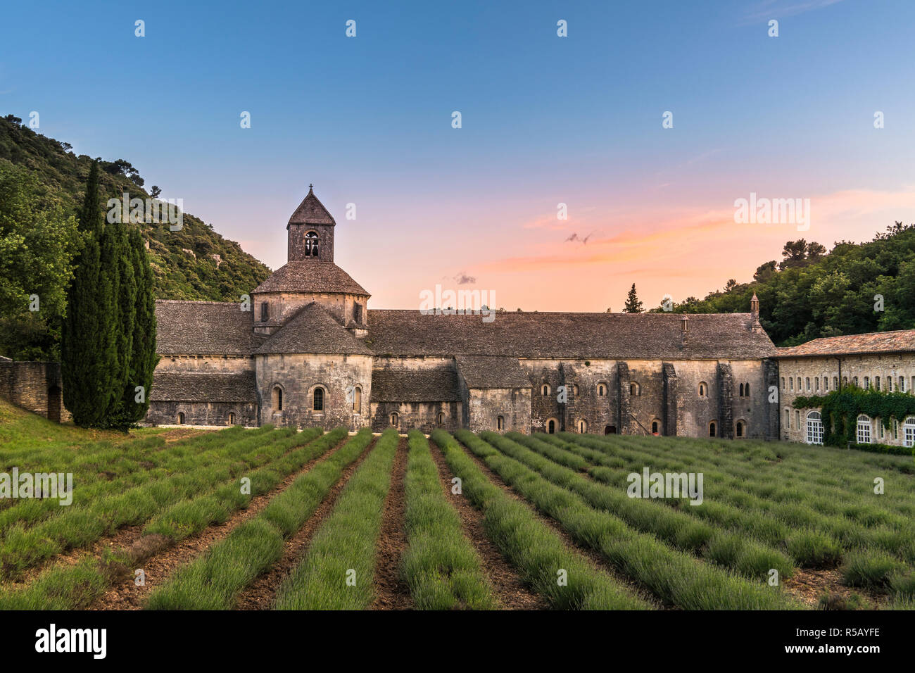 Coucher du soleil au monastère Notre-Dame de Sénanque à Gordes, Provence, Sud de France Banque D'Images