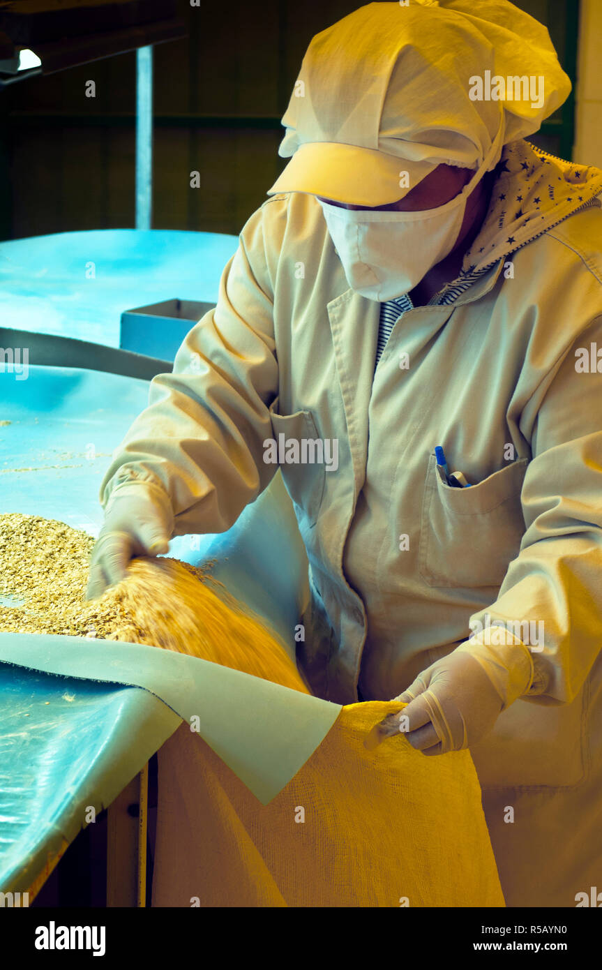 Le quinoa, le contrôle de qualité en usine, l'Inspecteur El Alto, Bolivie Banque D'Images