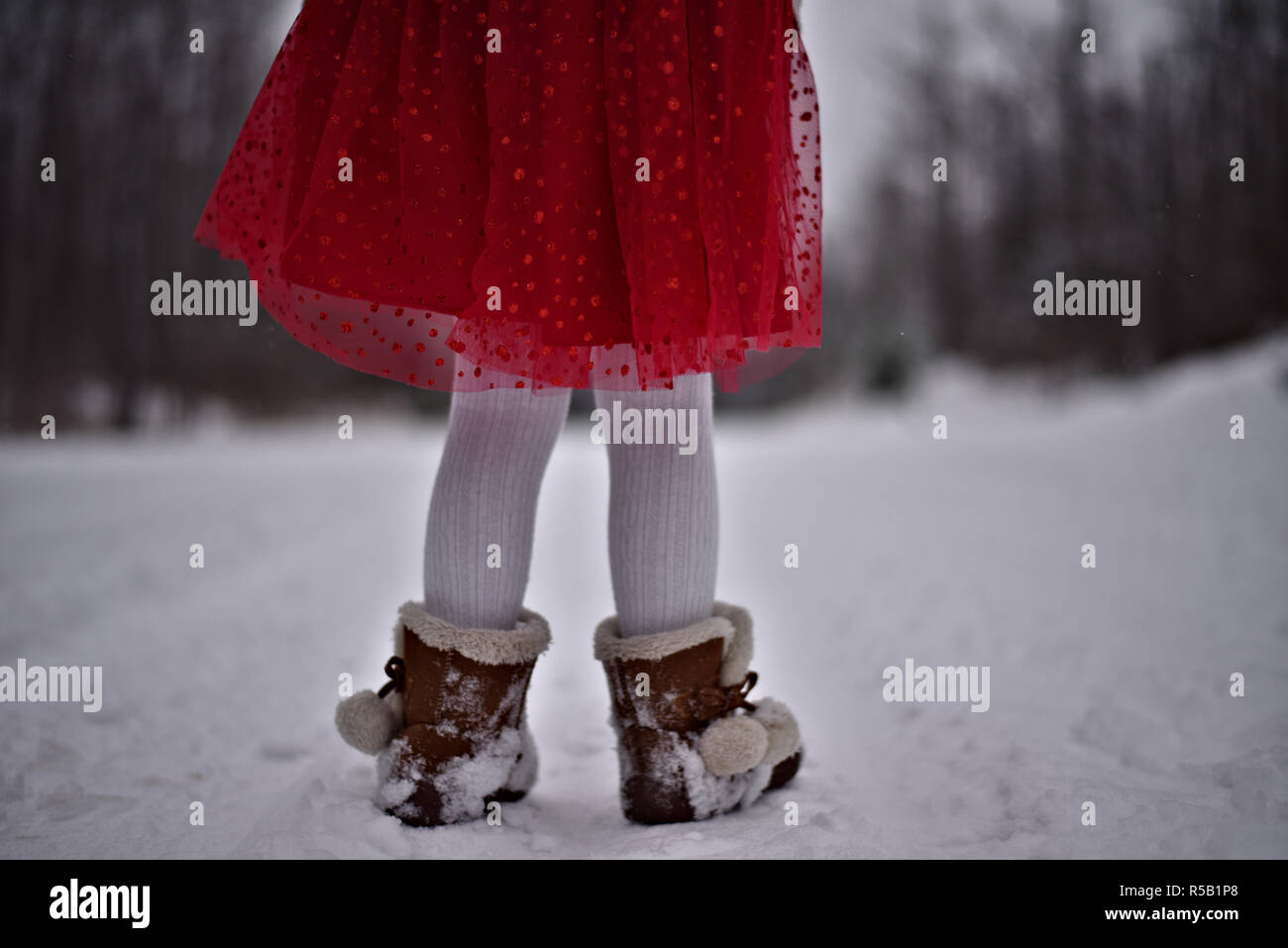 Petite fille jambes à demi couvert par sa jolie robe rouge sur une mission d'aller Décorer un sapin recouvert de neige en plein air pour tous les animaux sauvages pour voir Banque D'Images