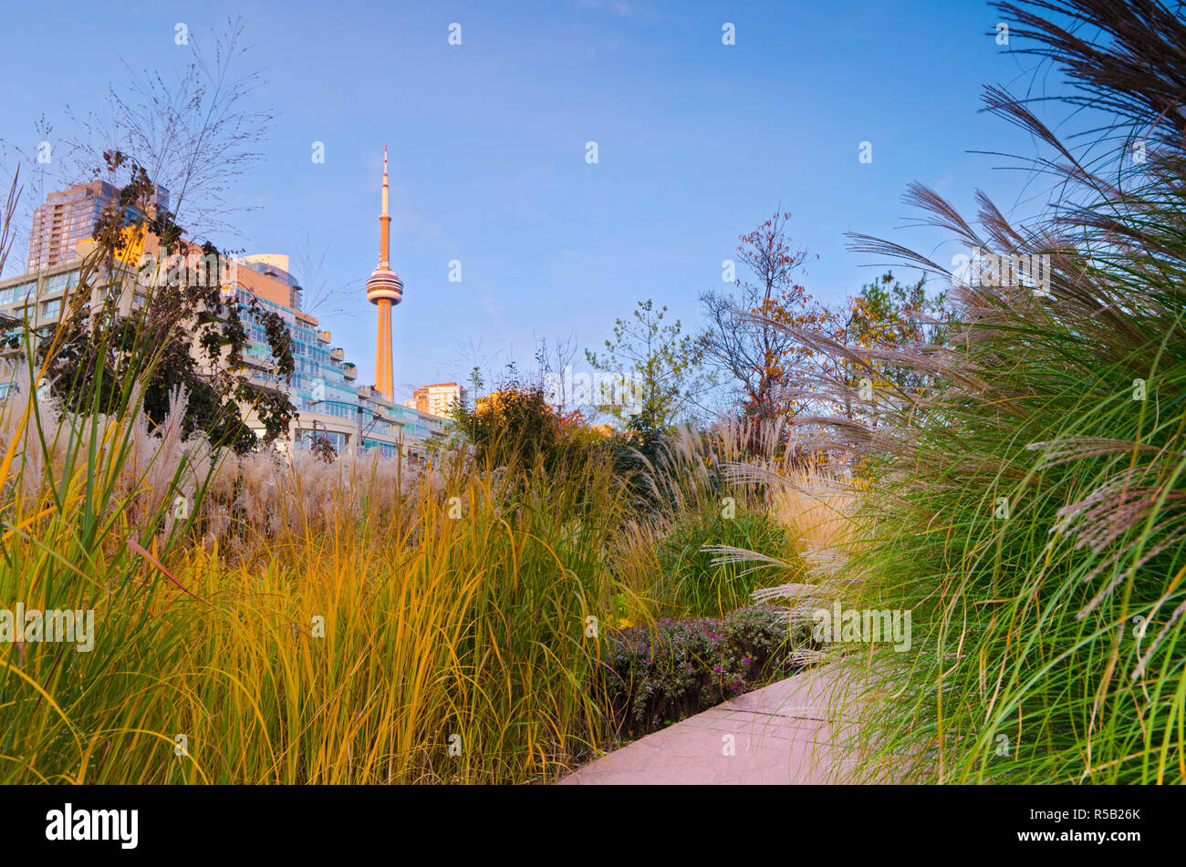 Le Canada, l'Ontario, Toronto, Marina Quay West, Toronto Music Garden Banque D'Images