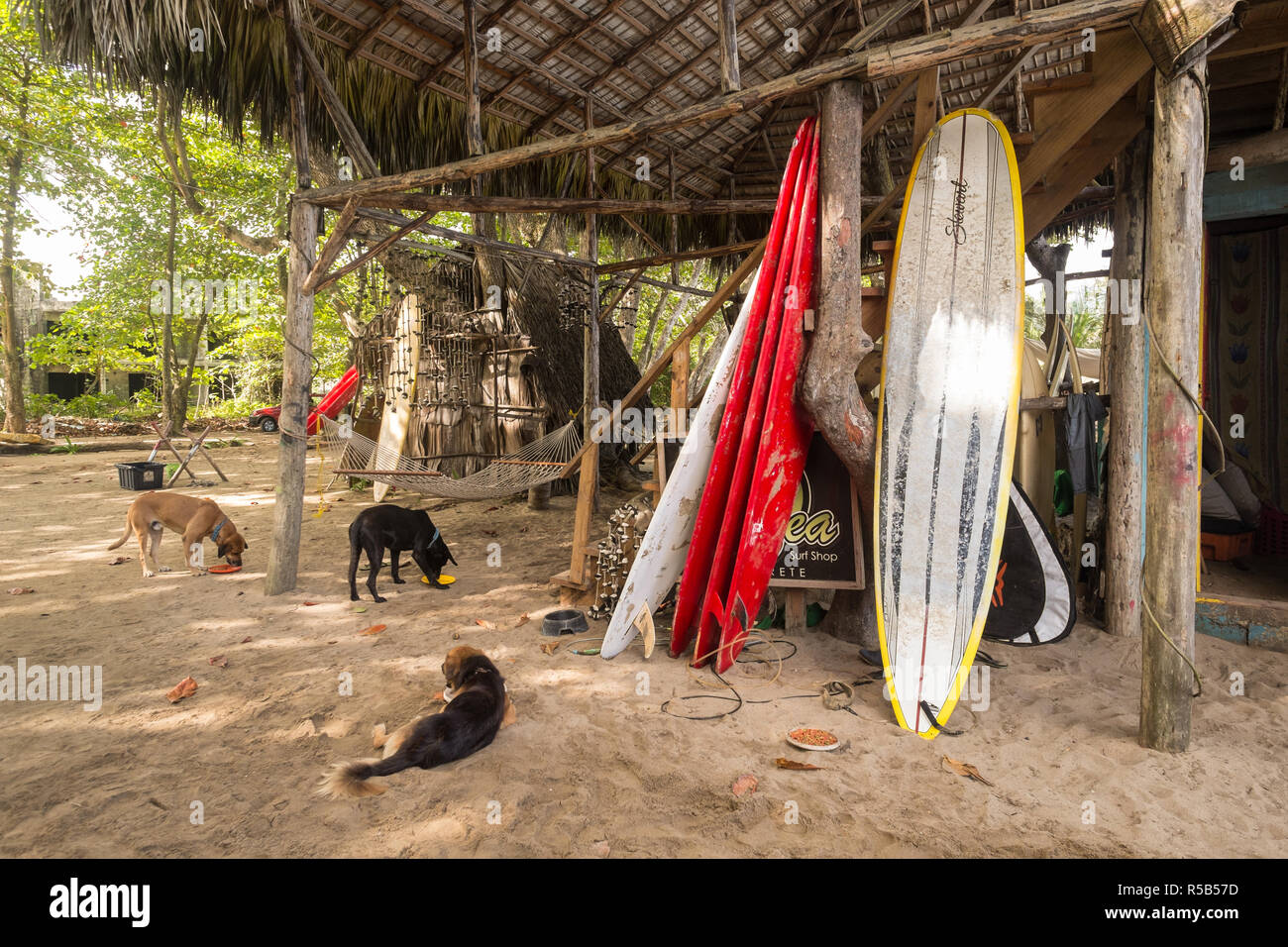 Cabarete, République dominicaine - 03 Février 2015 : une scène de la célèbre Playa Encuentro beach surf à Cabarete, République dominicaine. Banque D'Images