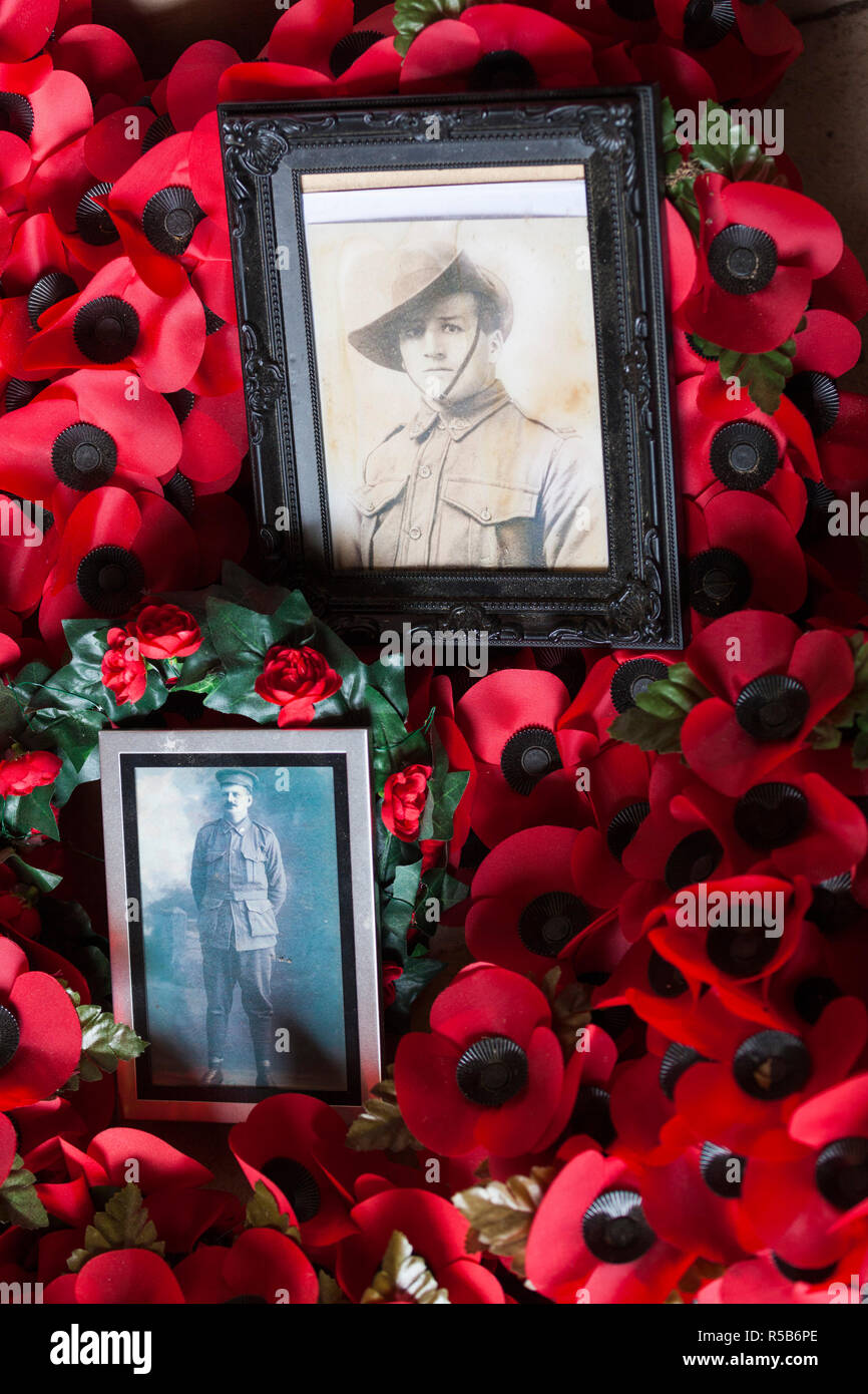 France, Picardie, Somme, Somme de bataille, Villers-Bretonneux, Mémorial National Australien à des soldats perdus au cours de la Première Guerre mondiale, les coquelicots et les photos Banque D'Images