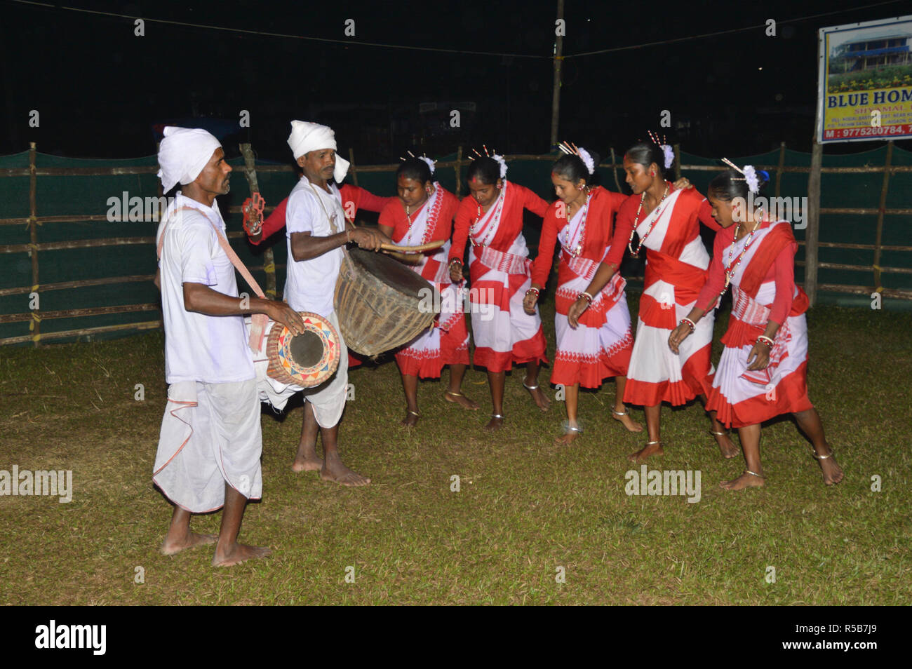 Danse folklorique de Kodal Adivasi bustee Jaldapara au Parc National d'Alipurduar district de l'ouest du Bengale, en Inde Banque D'Images