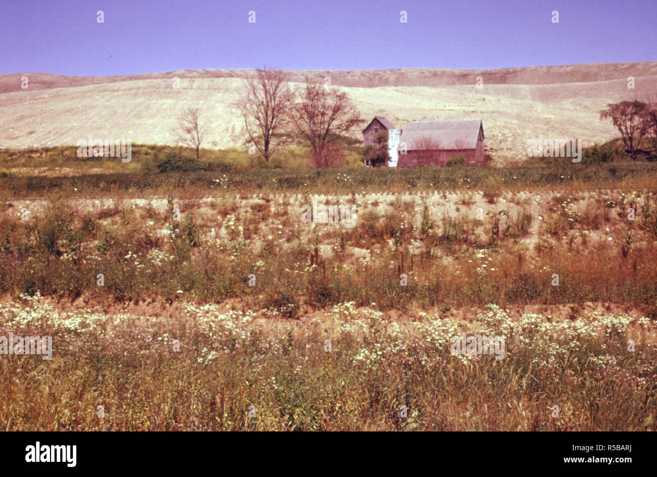Les entreprises ont du charbon extrait de bande jusqu'à la pointe de cette ferme abandonnée sur la Route # 100. 07/1974 Banque D'Images