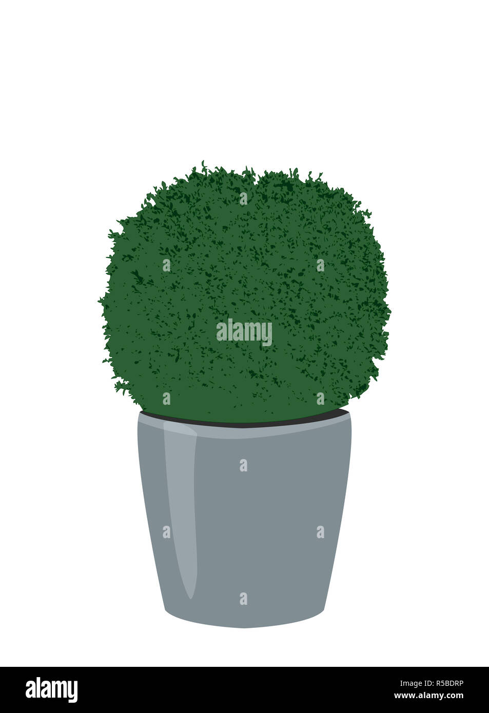 Fraisage sphérique décoratif plante buis en pot. Arbre en pot topiaire isolé sur fond blanc. Plante d'icône, vector illustration Banque D'Images