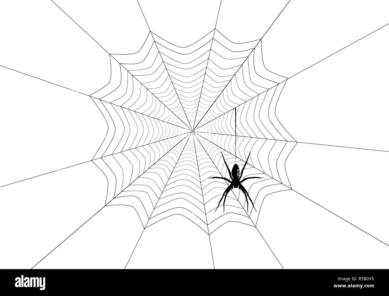 Silhouette noire Spider hanging on web isolé sur fond blanc. Dessin d'insectes Spooky Halloween monstre effrayant, illustration, vector eps 10 Banque D'Images