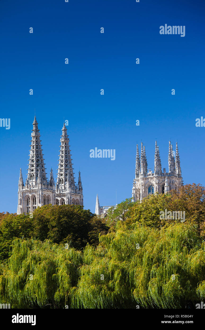 L'Espagne, Castilla y Leon Région, Province de Burgos, Burgos, la cathédrale de Burgos Banque D'Images