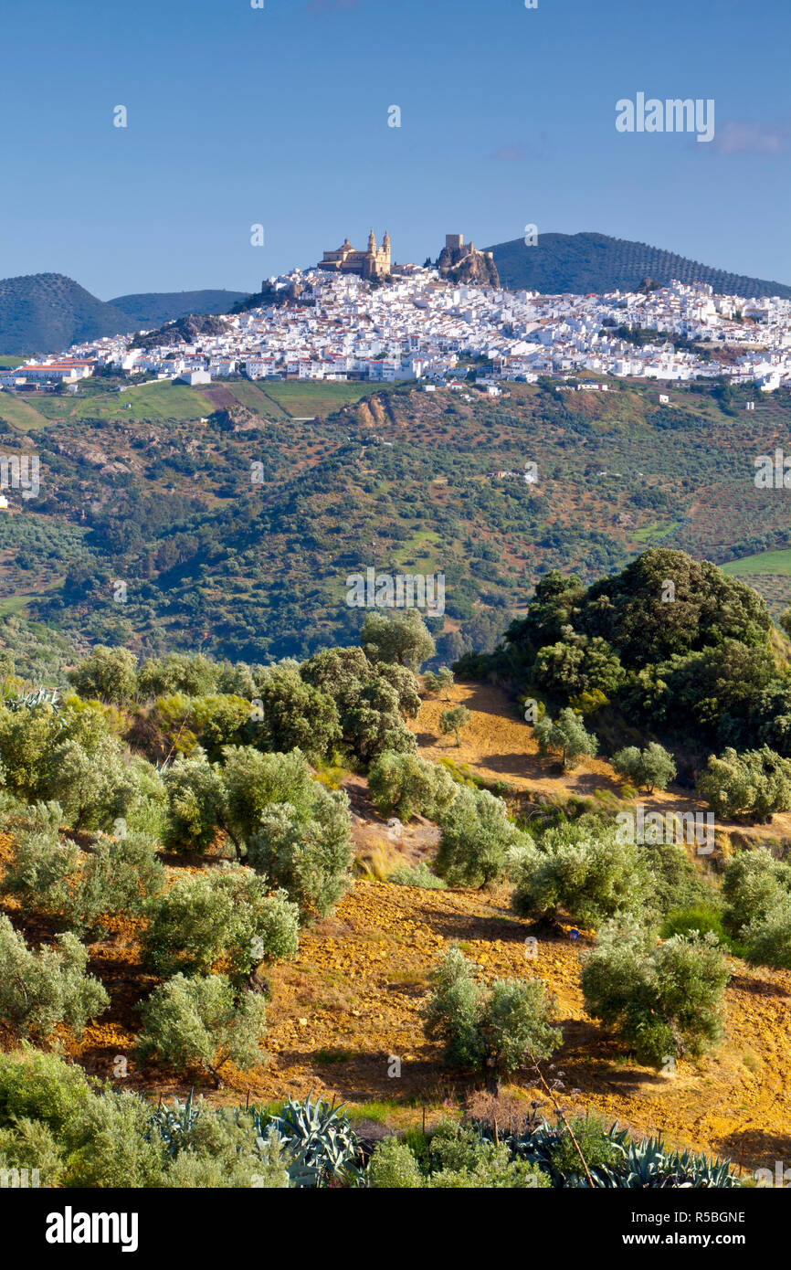 Vue élevée vers le haut d'une image parfaite d'Olvera, Olvera, Cadiz Province, Andalusia, Spain Banque D'Images