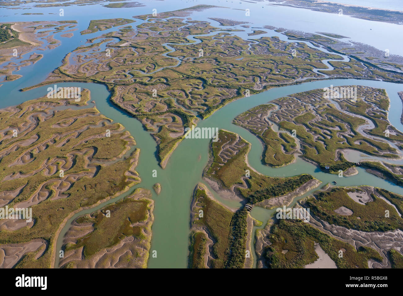 Vue aérienne de marais, Province de Huelva, Espagne Banque D'Images