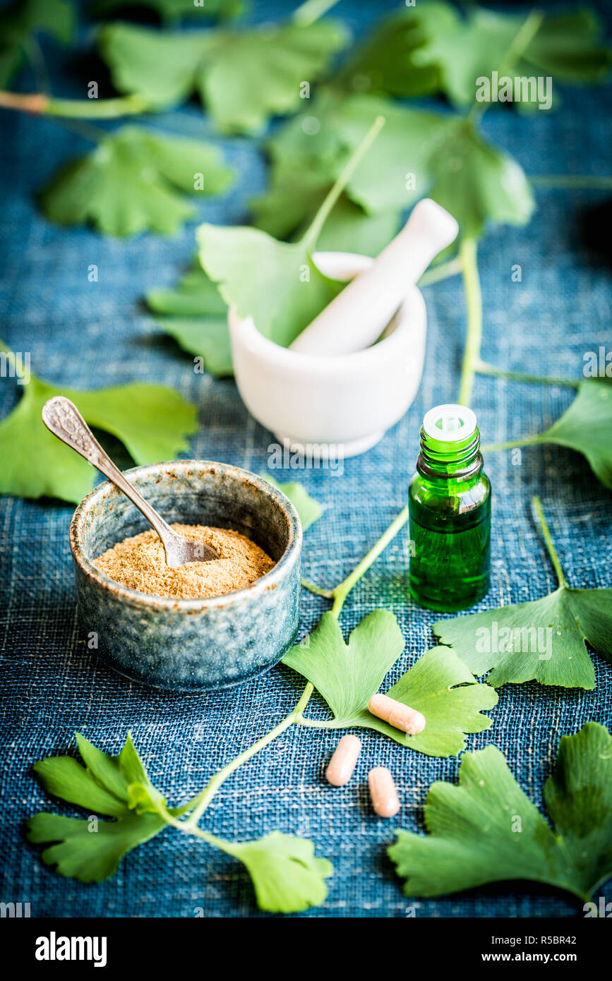 Poudre , compléments alimentaires et d'huile essentielle de l'Adiante cheveux-de-(ginkgo biloba) arbre . Banque D'Images