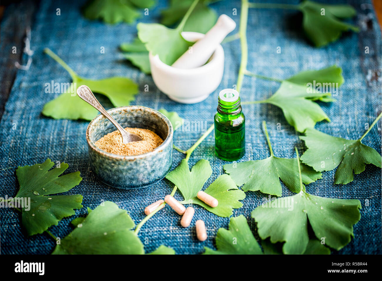 Poudre , compléments alimentaires et d'huile essentielle de l'Adiante cheveux-de-(ginkgo biloba) arbre . Banque D'Images