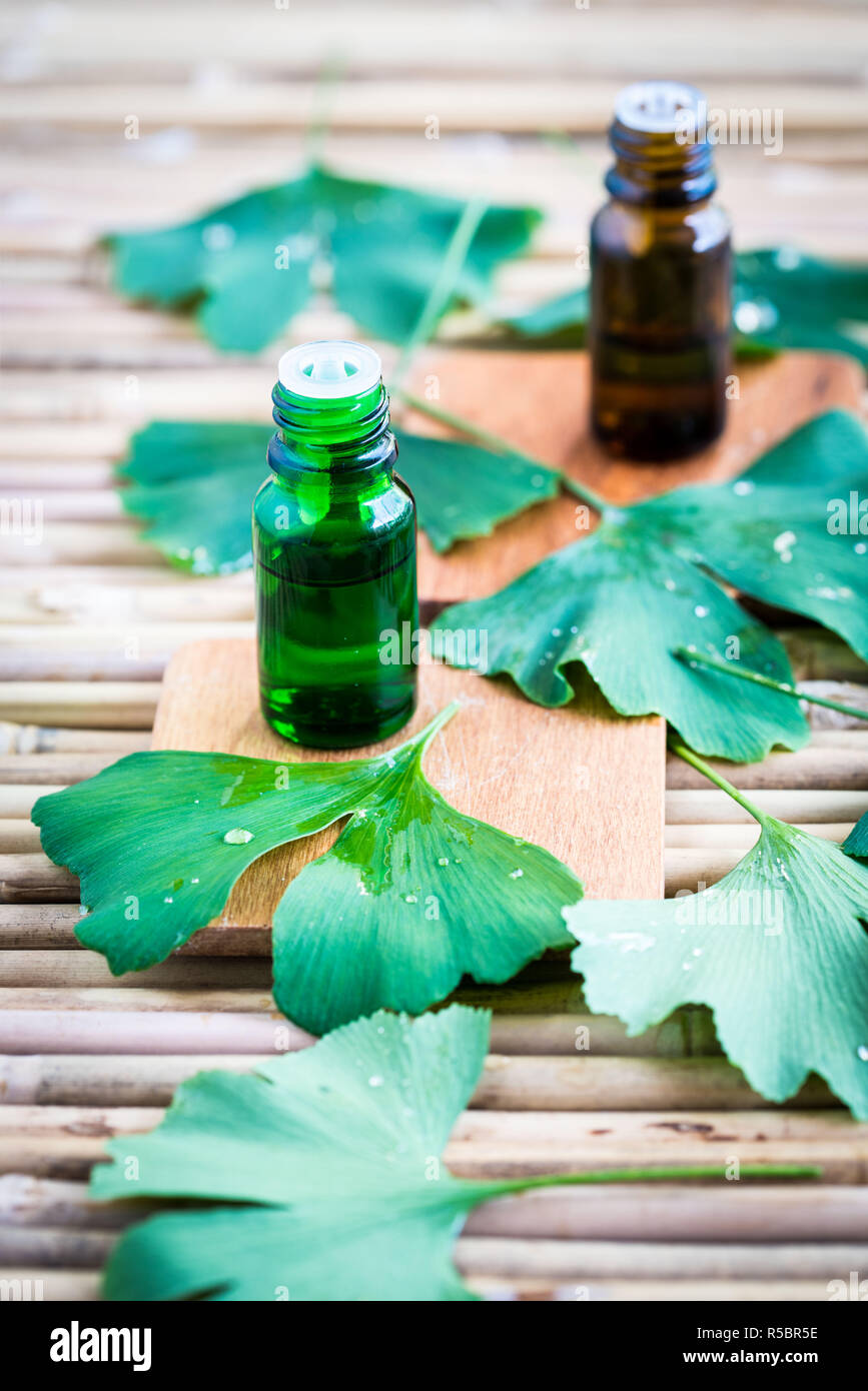 Le Ginkgo biloba l'huile essentielle. Banque D'Images