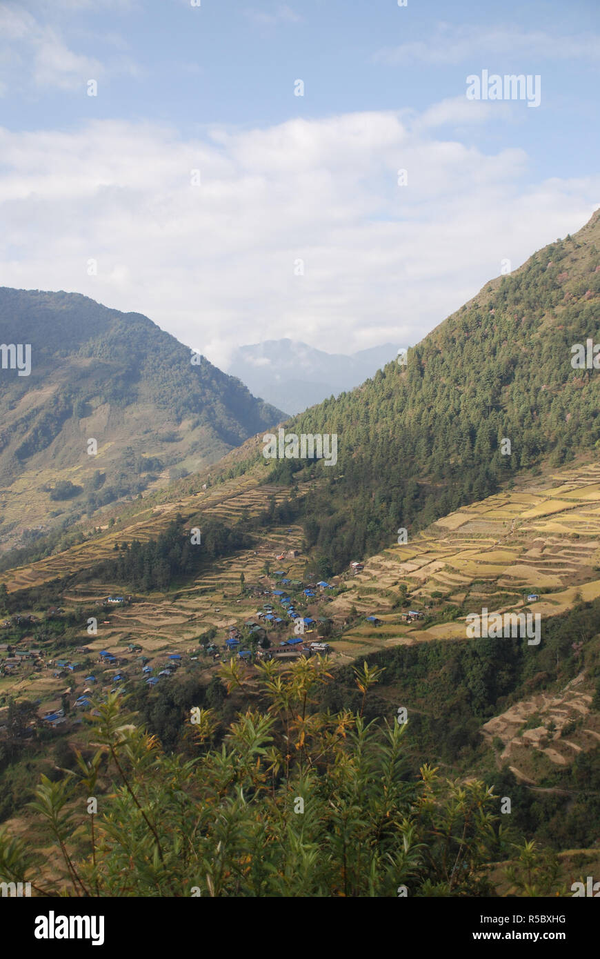 Le bleu des toits d'étain d'un petit village sont vu entouré de champs en terrasses de millet dans l'Est du Népal Banque D'Images