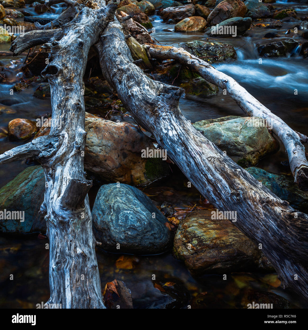 Terres Canyon National Park Utah USA Banque D'Images