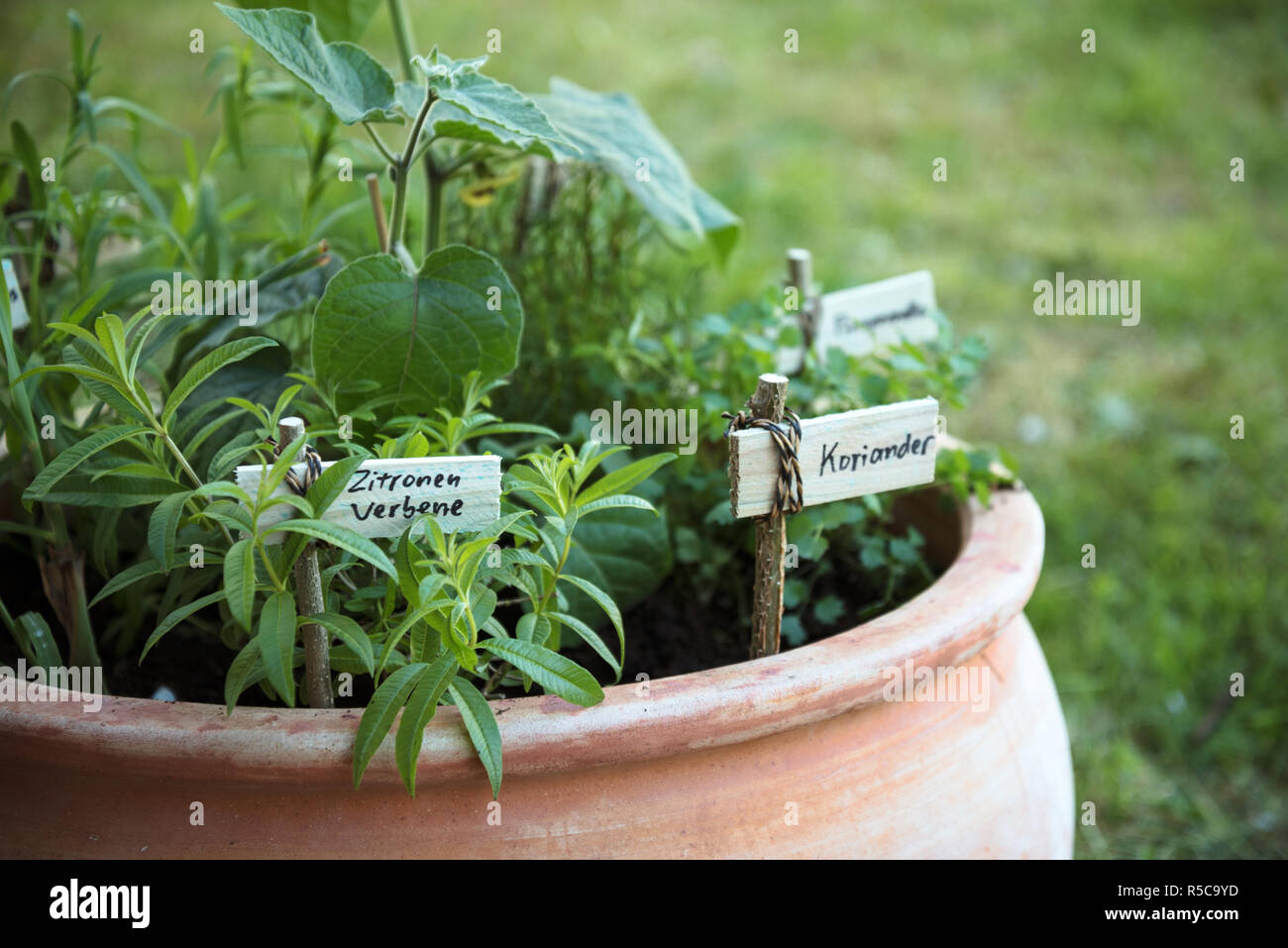 Jardin d'herbes en pots Banque de photographies et d'images à haute  résolution - Alamy
