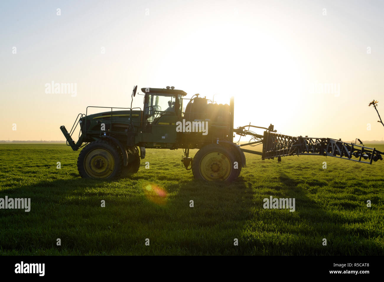 Le tracteur sur le fond coucher de soleil. Tracteur avec grandes roues est faire engrais sur les jeunes le blé. L'utilisation de produits chimiques pulvériser finement dispersées Banque D'Images