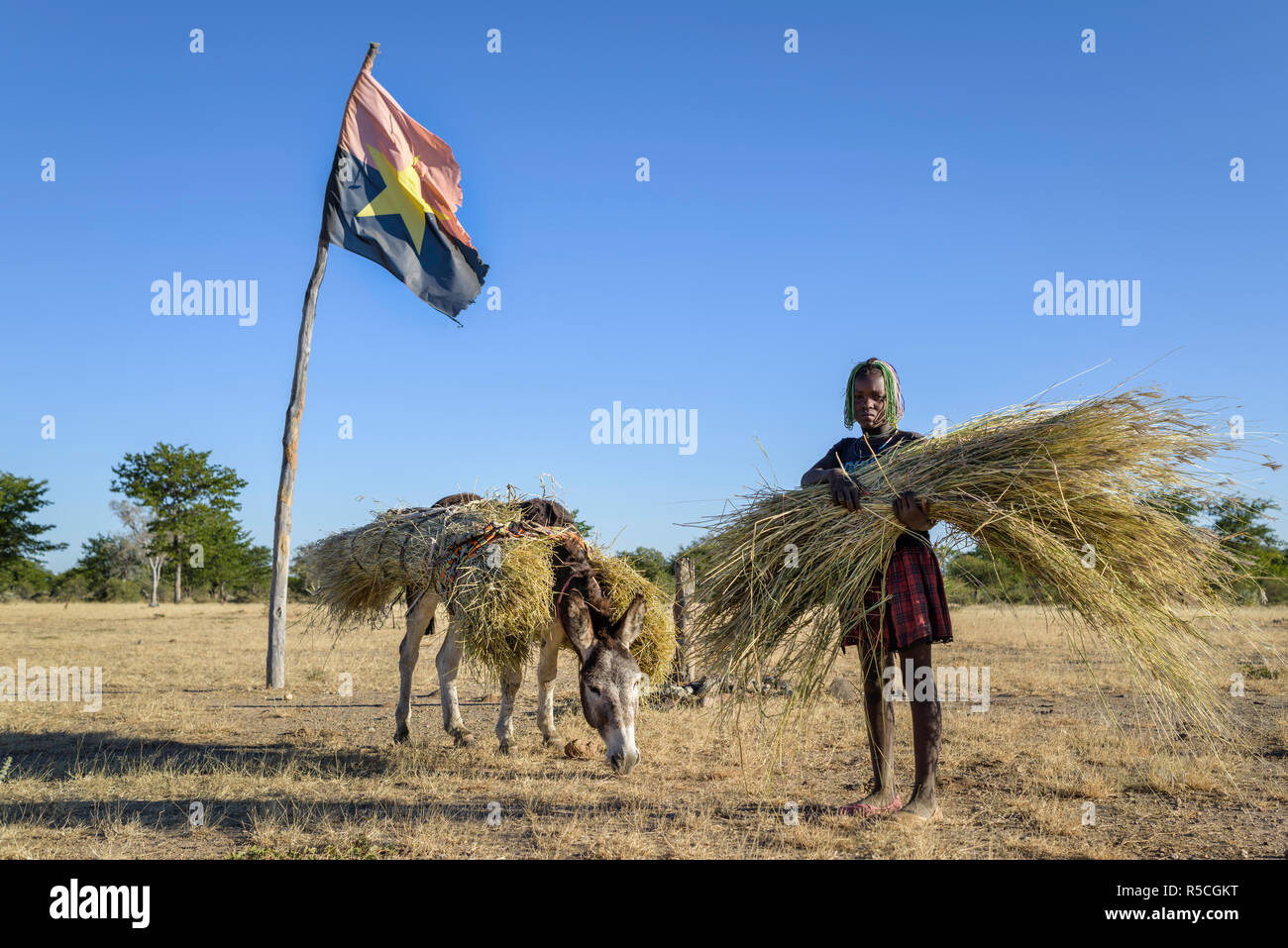 Fille angolaise la collecte de l'herbe avec un âne posant sous un drapeau de l'Angola. Banque D'Images