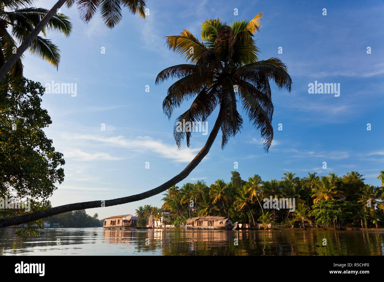 Péniche, Backwaters Alappuzha, ou d'Alleppey, Kerala, Inde Banque D'Images