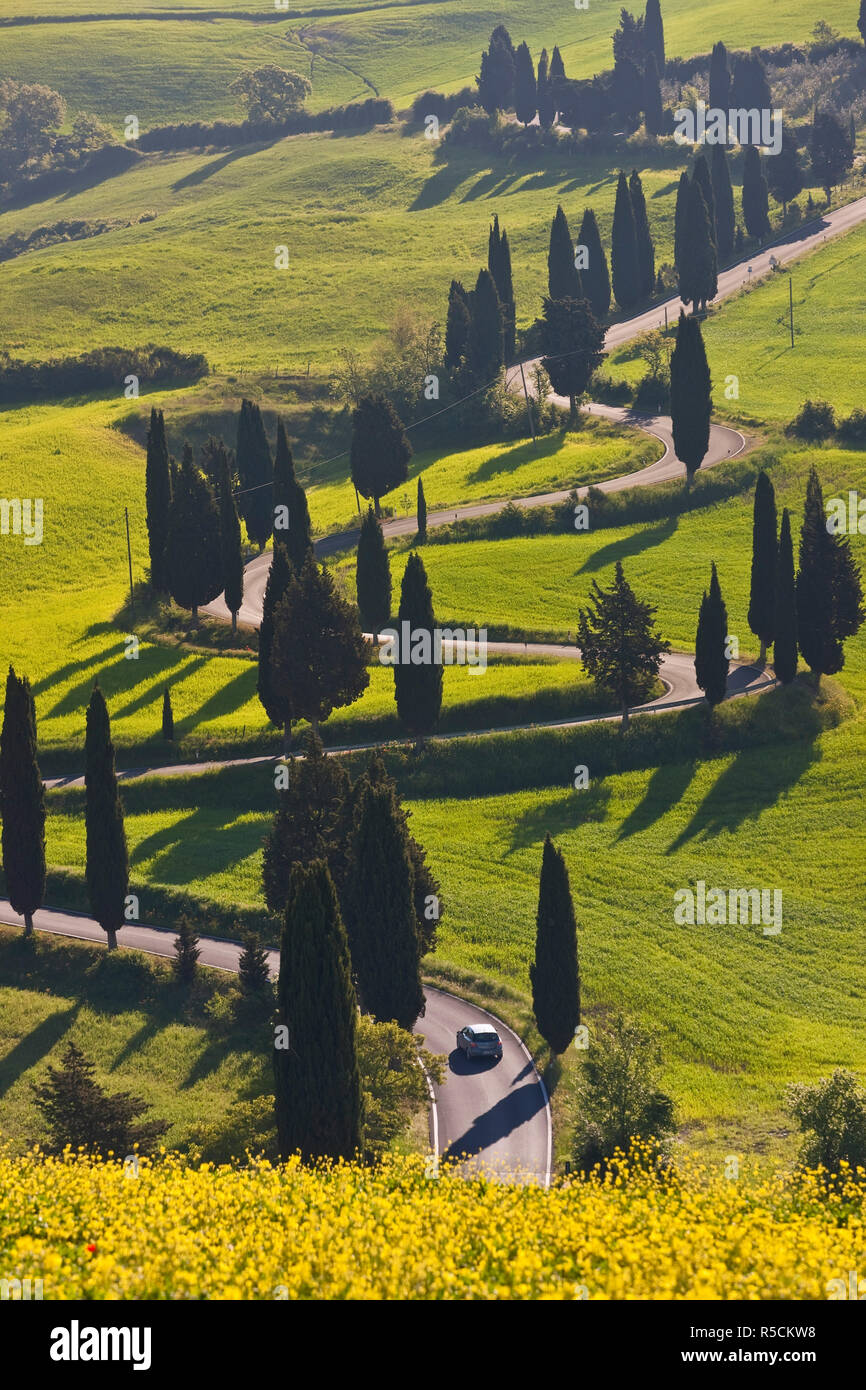 Route sinueuse, Monticchiello, Toscane, Italie Banque D'Images