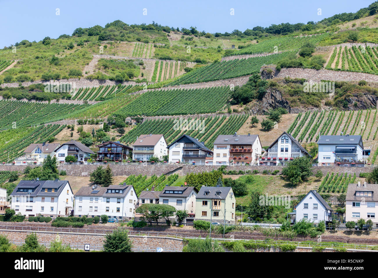 La vallée du Rhin, Lorchhausen, Allemagne. La classe moyenne typique des maisons. Banque D'Images