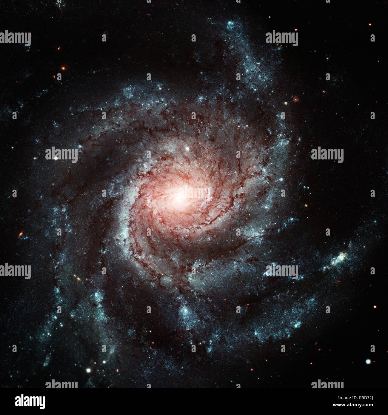 Pinwheel Galaxy. Galaxie spirale dans la constellation de la Grande Ourse. Banque D'Images