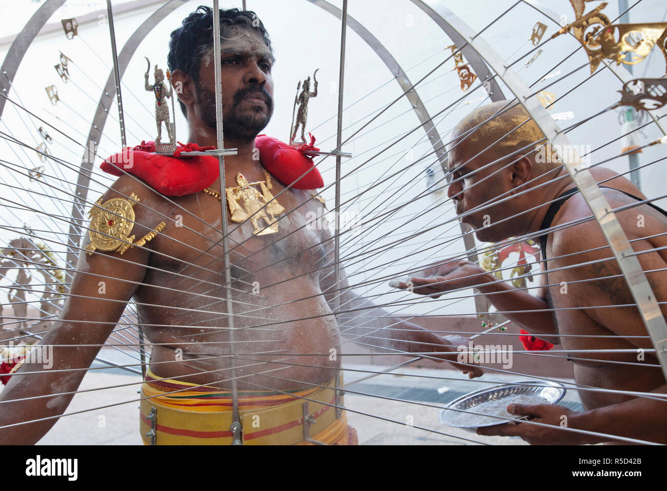 Singapour, Little India, Sri Srinivasa Perumal Temple Festival Thaipusam, participant Banque D'Images