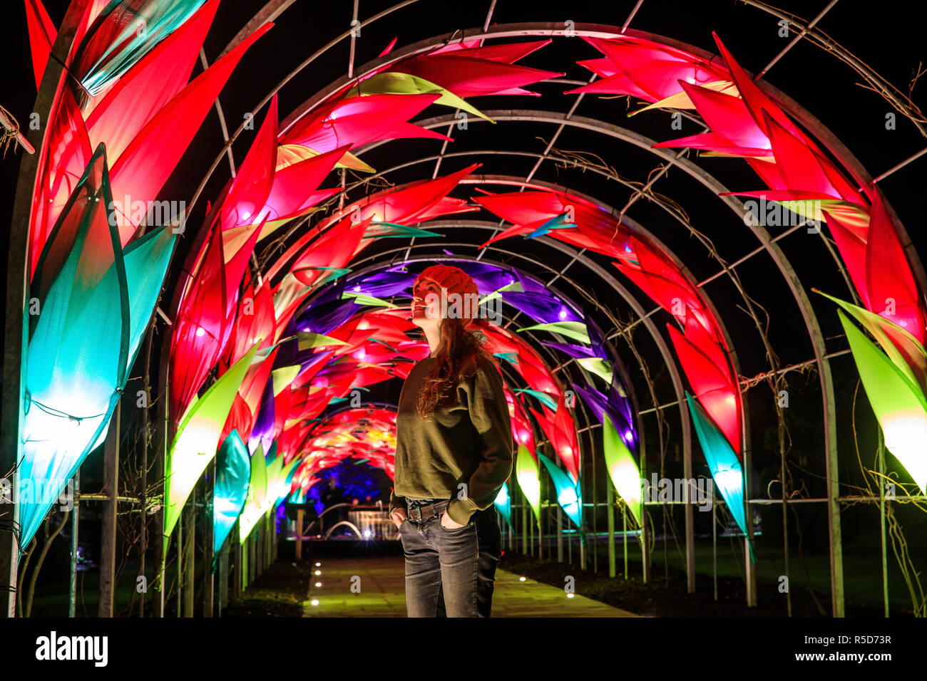 Wisley, Surrey, UK, 30 novembre 2018. Le 30 novembre 2018. Naomi, 31 Trenier de Surrey sur la photo à admirer l'écran sur la nouvelle passerelle de la glycine. Le quotidien des installations lumineuses retourne à Wisley à partir du 1er décembre au mercredi 2 janvier 2019 à partir de 16h - 20h. De retour pour sa quatrième année, bougies de Noël guide les visiteurs autour d'une nouvelle voie pour 2018, en tenant à des endroits dont le Rock Garden, les sept acres lac et le Canal de Jellicoe. Credit : Oliver Dixon/Alamy Live News Banque D'Images