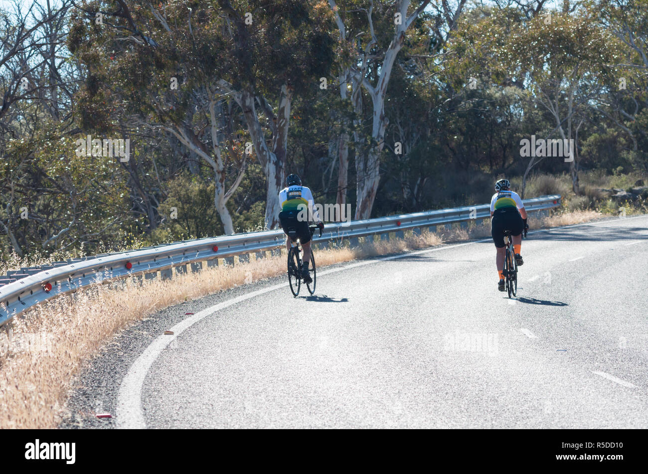 Jindabyne, Australie de l'Est - 1er décembre 2018 : Deux cyclistes équitation ensemble lors d'une montée de l'article Credit : Blue Pebble/Alamy Live News Banque D'Images