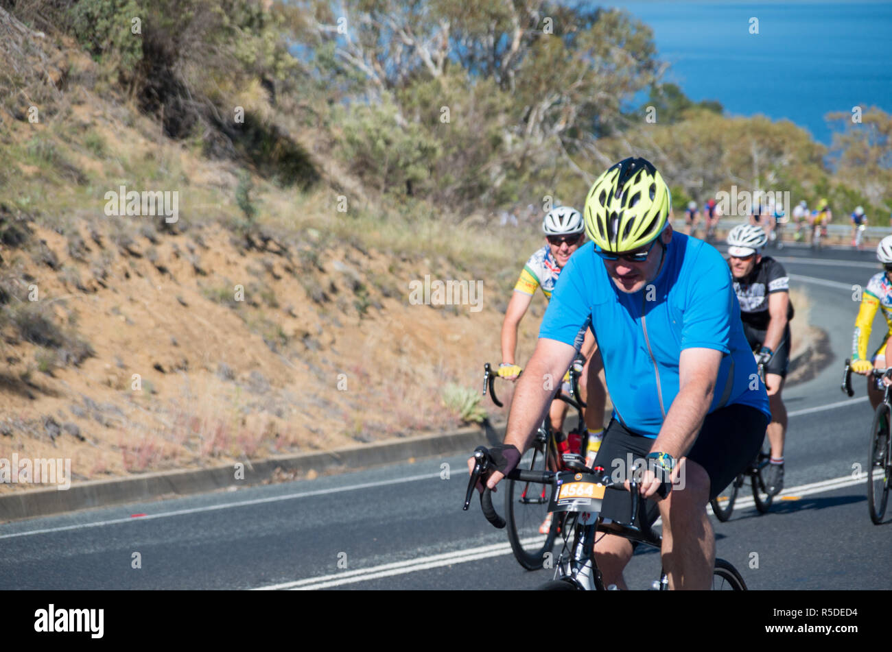 Jindabyne, Australie de l'Est - 1er décembre 2018 : Groupe de cyclistes équitation un article jusqu'à la colline à côté du lac Jindabyne : Crédit de galets Bleu/Alamy Live News Banque D'Images