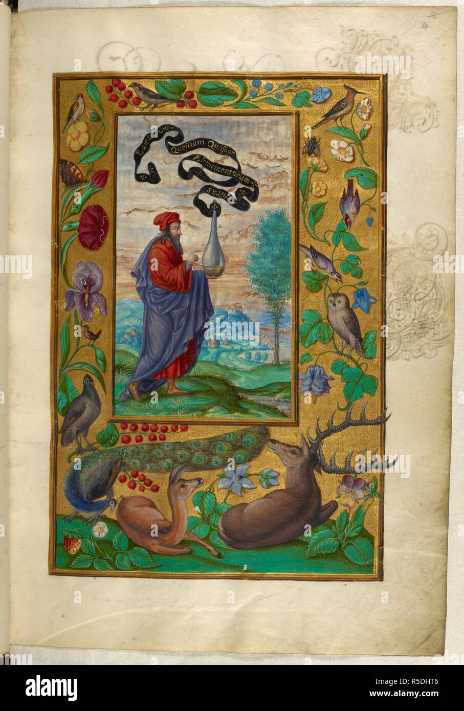 Illustration du premier traité. Un philosophe avec ballon et faire défiler, debout dans un paysage. Décoration à la frontière avec des fleurs, des oiseaux, y compris un hibou et Peacock, et au pied, un cerf et chevreuil. Splendor Solis. L'Allemagne, 1582. Source : Harley 3469, f.4. Langue : Allemand. Auteur : Trismosin, Salomon. Banque D'Images