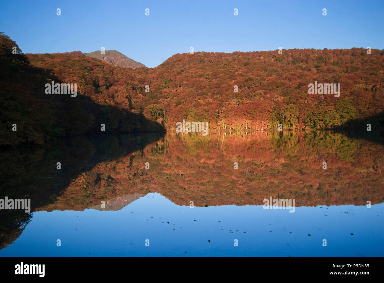 Le Japon, l'île d'Hokkaido, Tohoku, Aomori Towada lac, étang Tsutanuma Banque D'Images